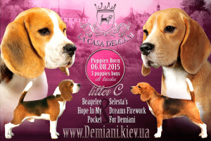 ^7729422311C01F50314CA546D564A892DFA760B27F478ABB0B^pimgpsh_fullsize_distr